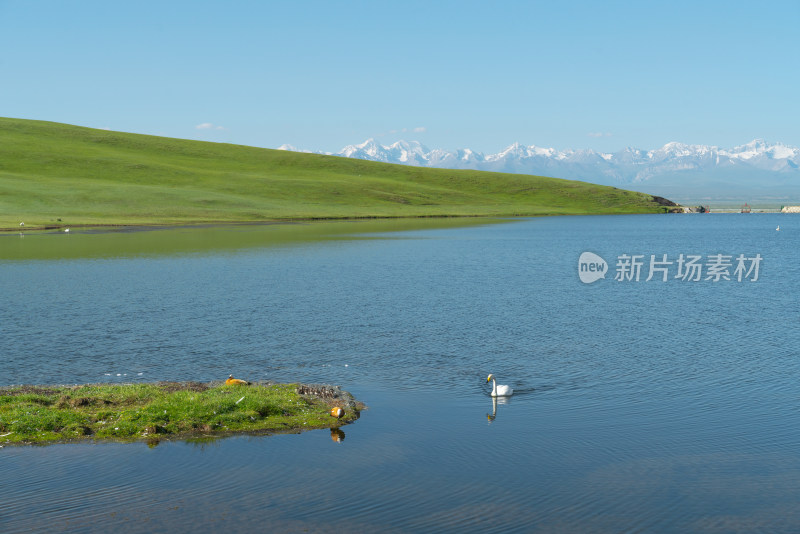 中国新疆伊犁巴音布鲁克草原风景