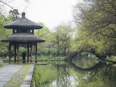 杭州西湖茅家埠江南水乡风景