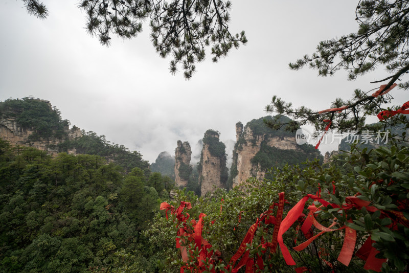 云雾缭绕的张家界奇峰异石景观