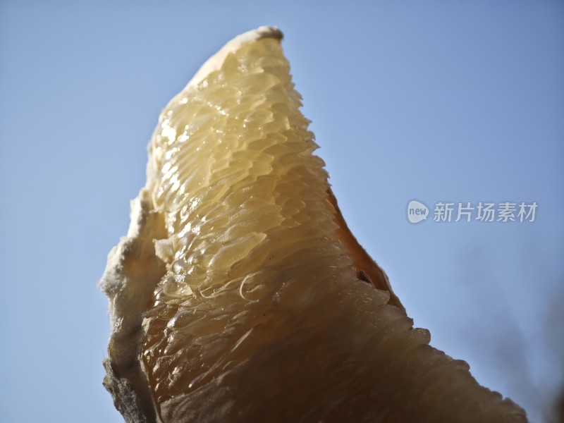 近景特写柚子果肉的饱满多汁