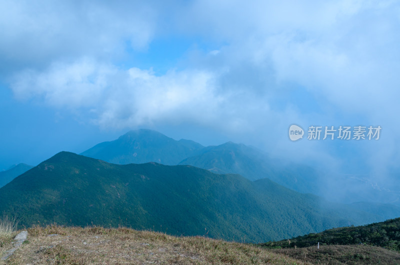 深圳大鹏半岛七娘山公园山顶树林自然风光