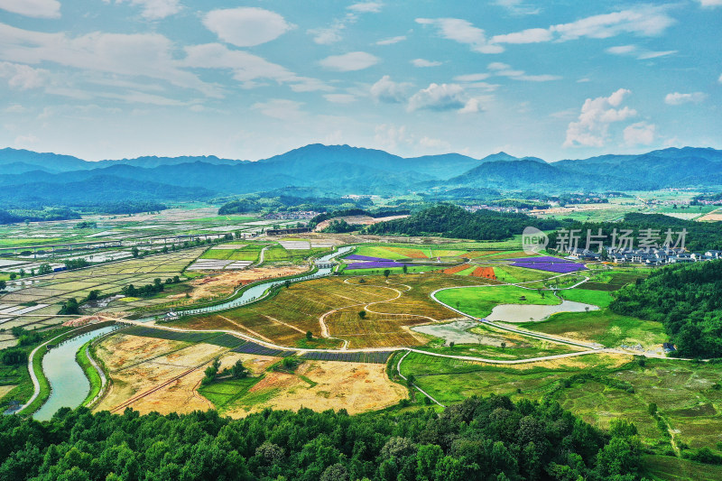 江西景德镇高岭村花海