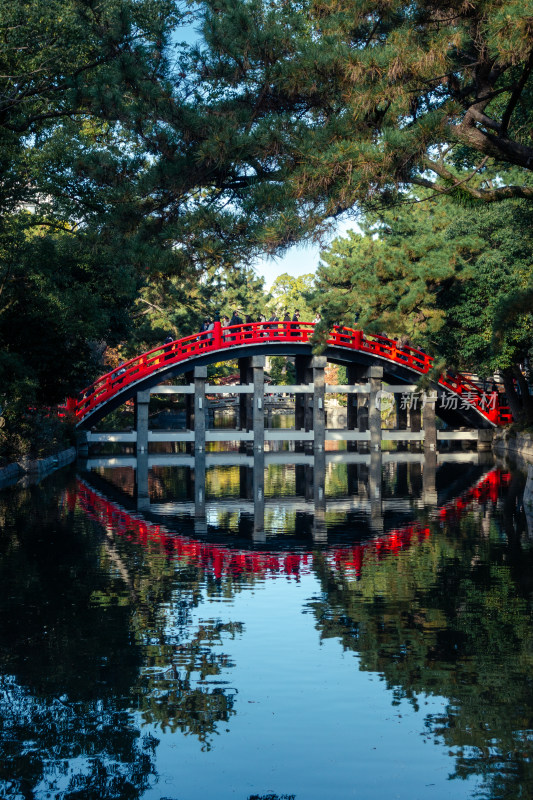 枫叶 京都 庭院 京都 秋天 日式 桥