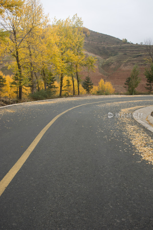 秋天的乡村公路