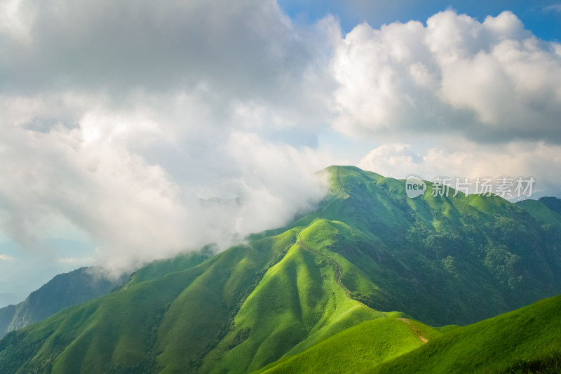 夏天江西武功山的高山草甸