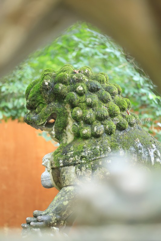 国清寺汉白玉石狮子特写