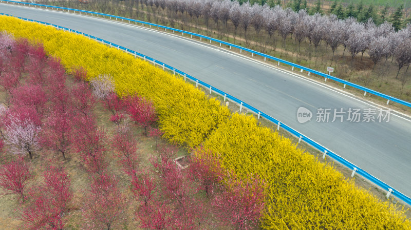 农村公路汽车交通绿化航拍旅行