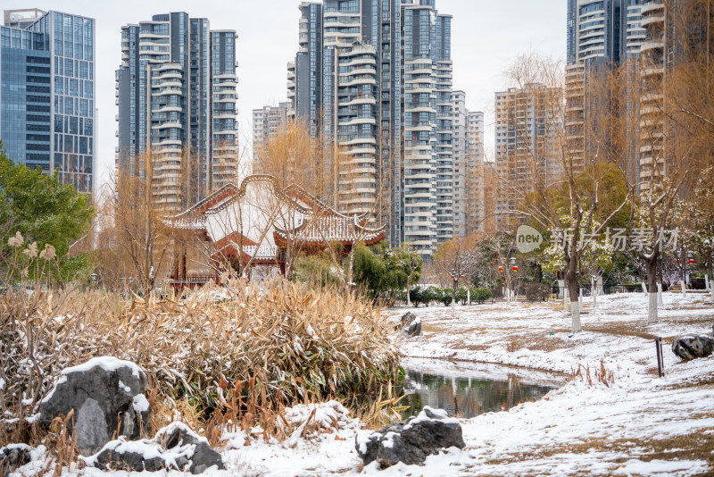 武汉沙湖公园冬天雪景