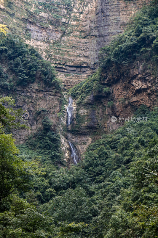 湖北宜昌三峡竹海风景区，自然风光，竹海