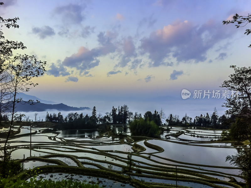 云南元阳梯田风光