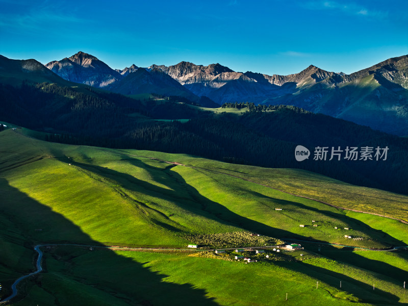 琼库什台草原的早晨