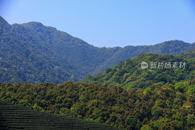 中国杭州龙坞蓝天下的低角度山景