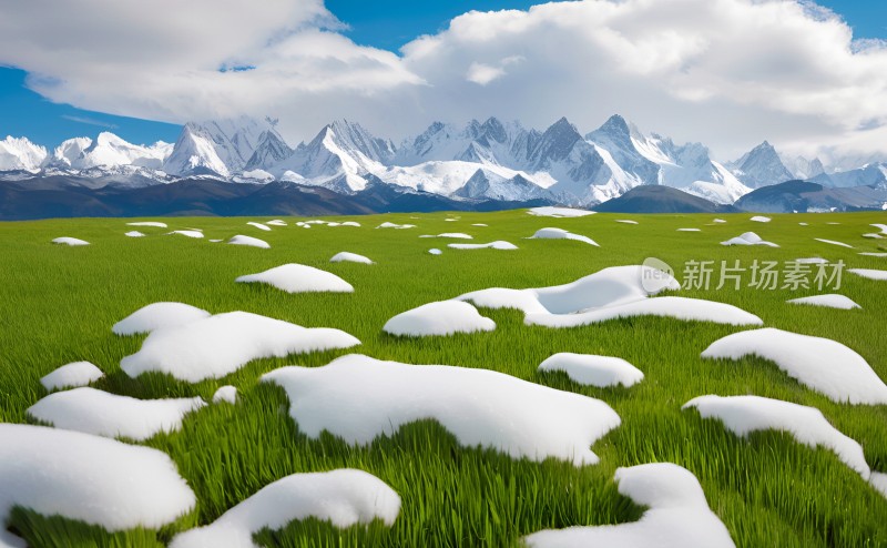 森林高山草原风景