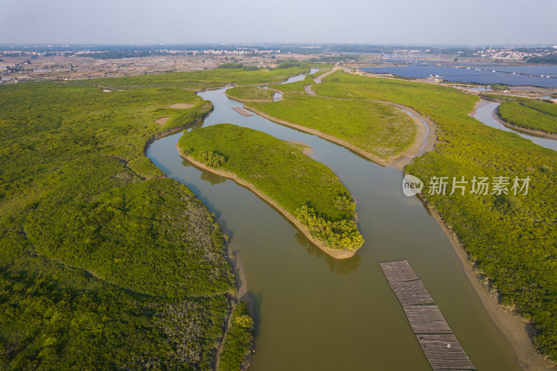 湛江高桥红树林保护区