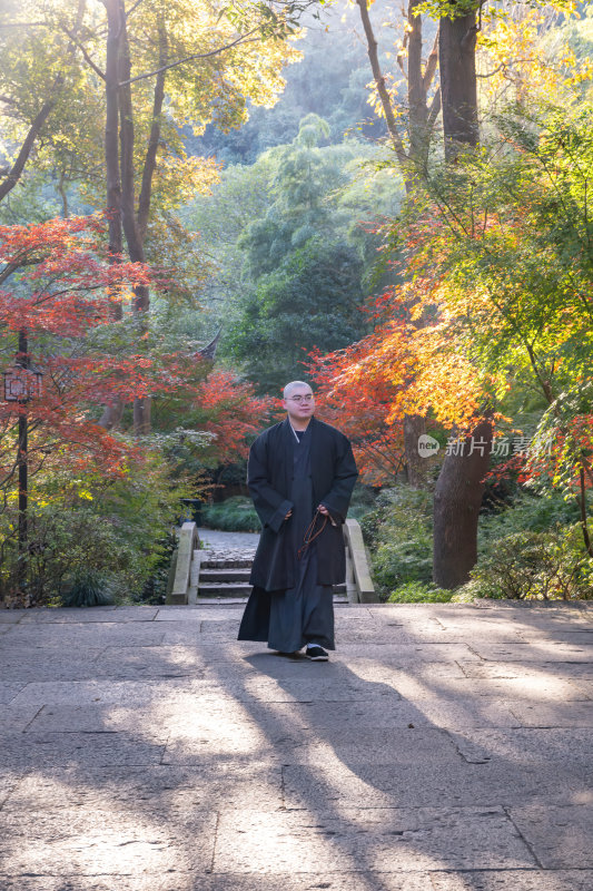 浙江杭州永福禅寺古寺秋景枫树红叶禅意