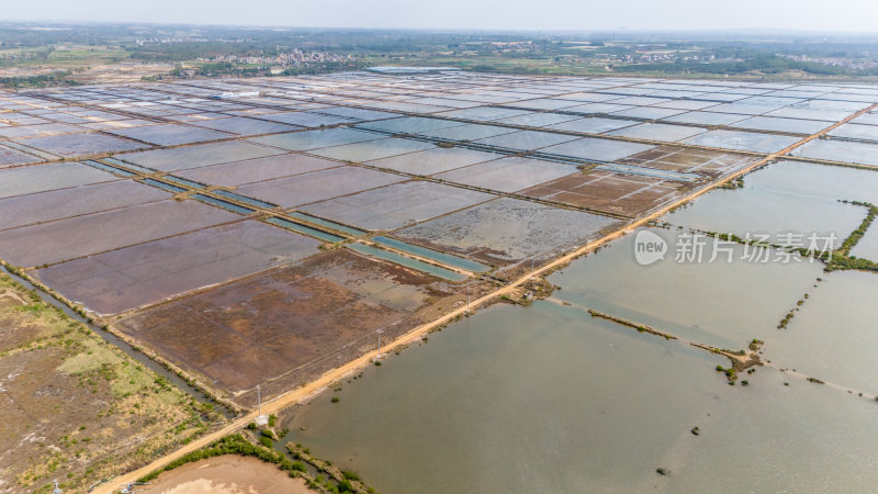 湛江市雷州盐场马留盐田