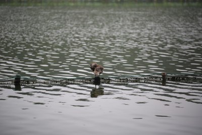 杭州风光 西湖风光