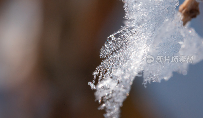 冬天雾凇雪花特写