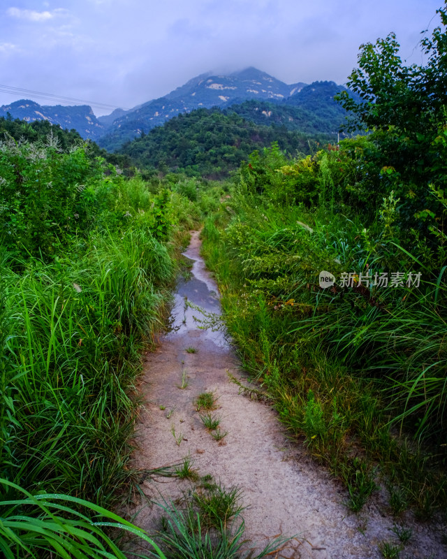 湖北乡村道路