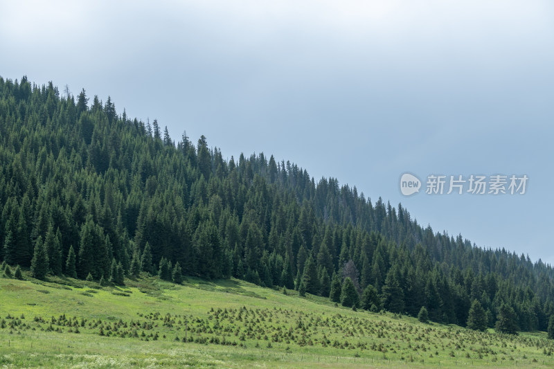 新疆博尔塔拉赛里木湖景区