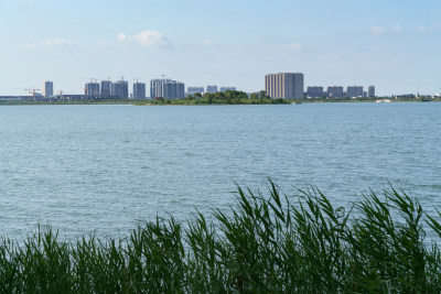 晴朗天气公园湖岸边景观