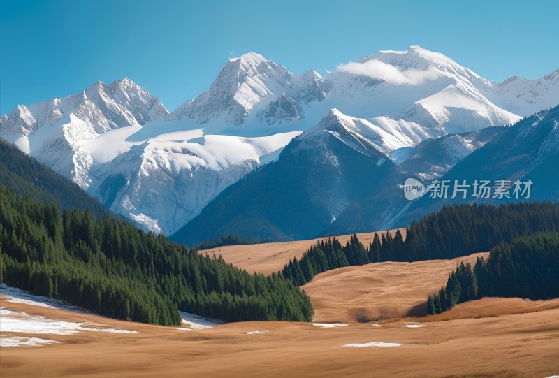 雪山高原森林风景