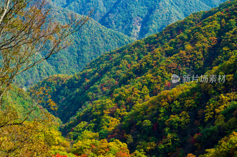 河南洛阳白云山风的秋季风光