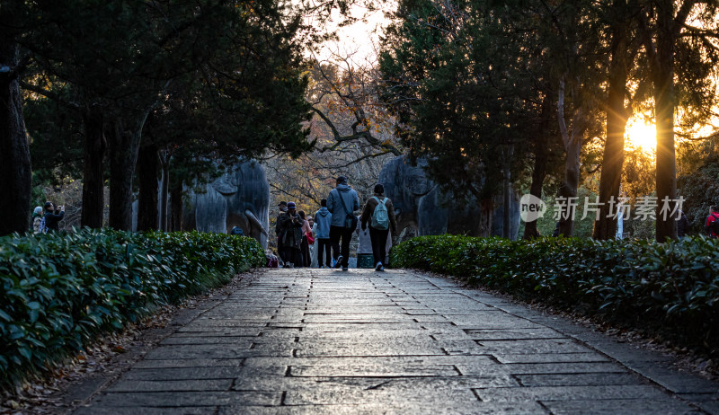 游客参观南京明孝陵石象路神道石像古迹场景