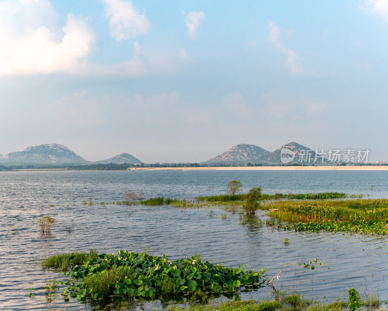 夏天的邹城孟子湖湿地湖泊自然景观