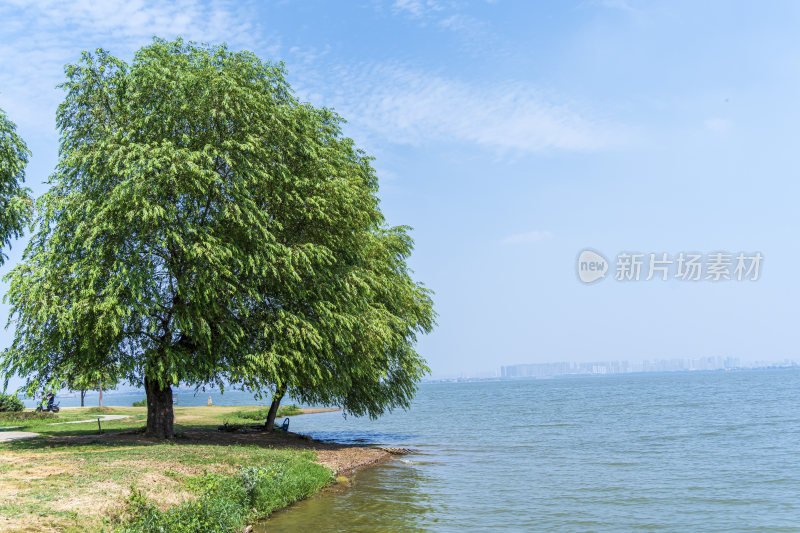 武汉江夏区悦湖公园风景