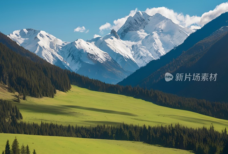 雪山高原草原森林风景