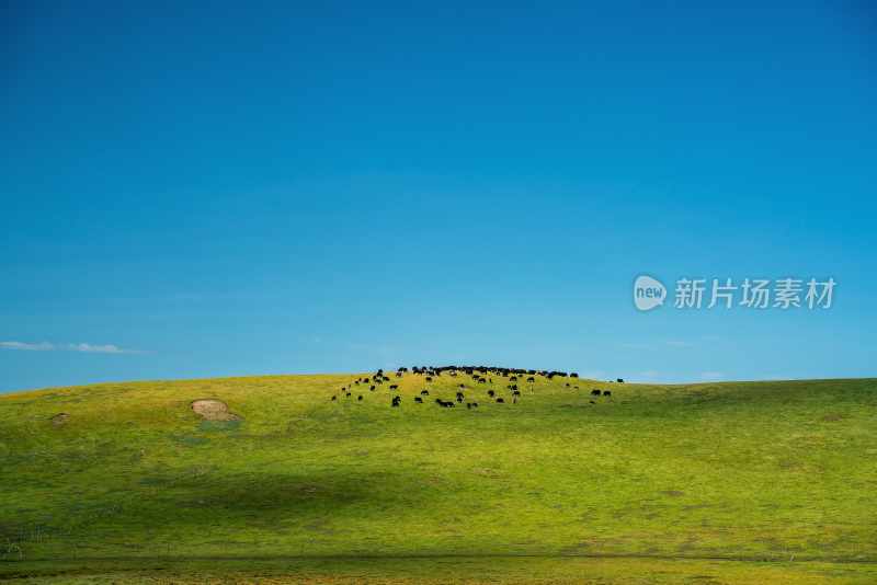 川西若尔盖甘南草原河流