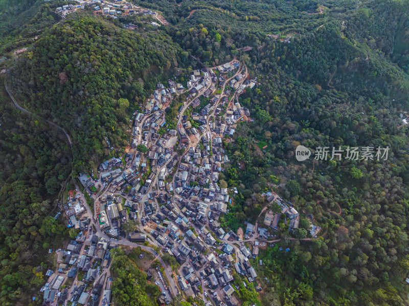 航拍被森林环绕的景迈山村庄全景