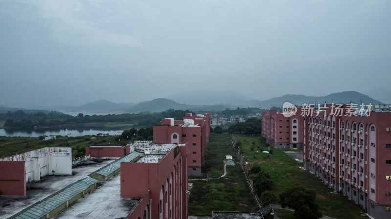 仰恩大学