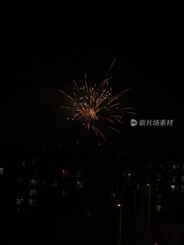 夜空中绽放的绚烂烟花