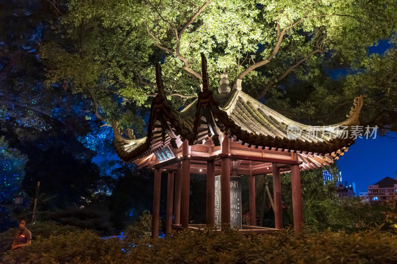 武汉武昌区黄鹤楼公园夜景