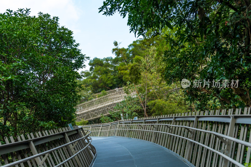 福州福道，一条融合自然与城市风光的步道