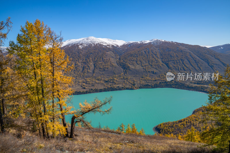 新疆北疆阿勒泰喀纳斯风景区喀纳斯湖