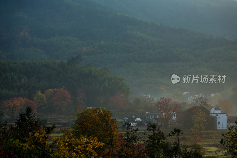 山谷的深秋