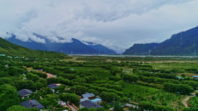 林芝雅尼湿地公园航拍