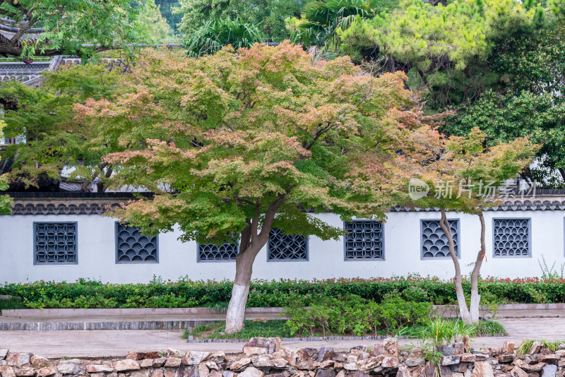 江苏镇江市焦山风景区建筑风景