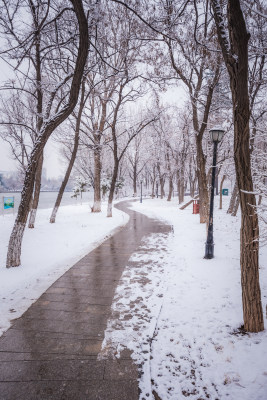 下雪了城市公园自然风景