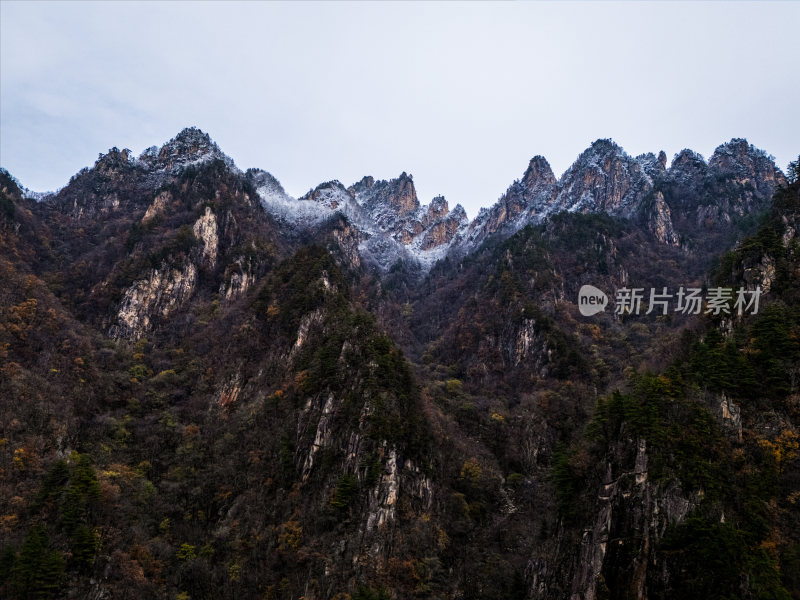 南阳老界岭冬季雪景风光