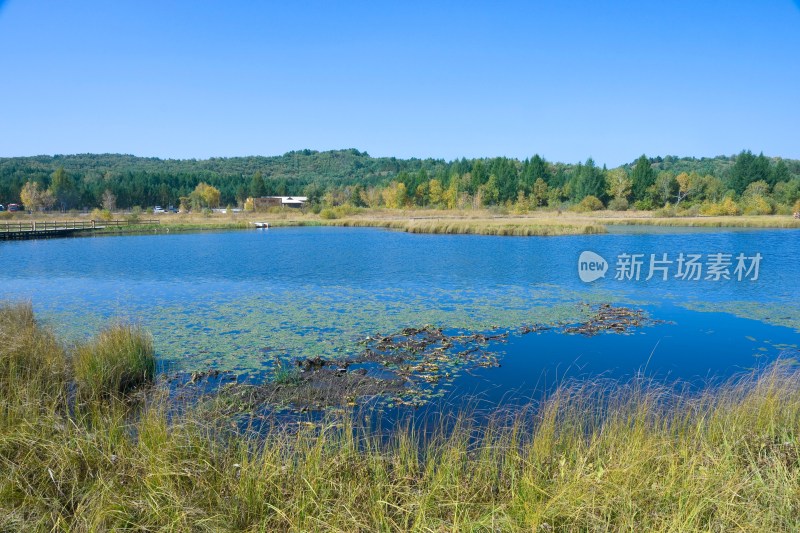 河北承德坝上草原