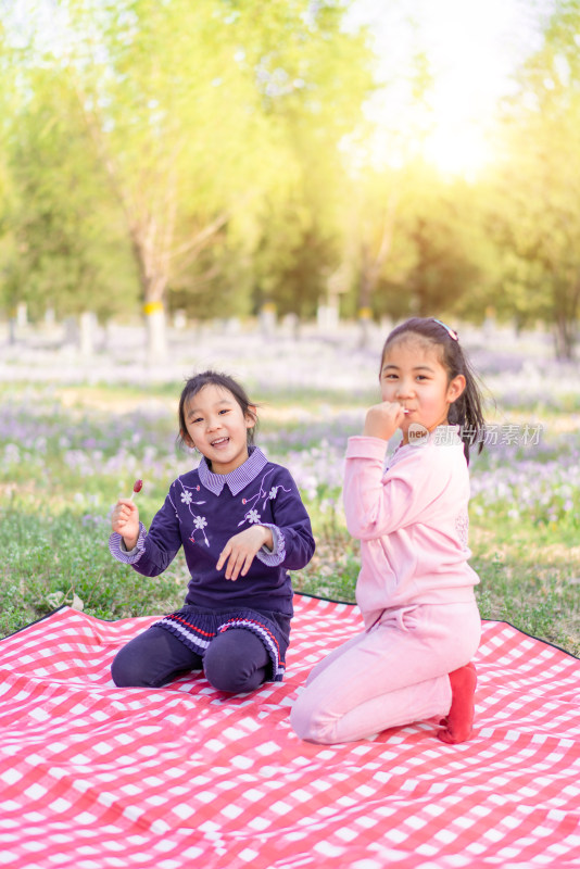 两个在公园草坪上野餐的中国女孩