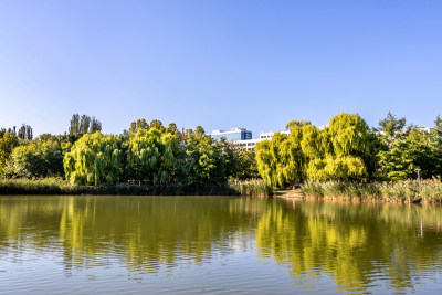 湖畔现代校园建筑群大学与湖泊