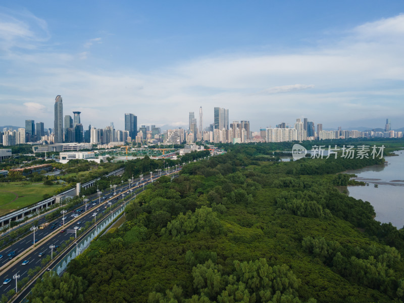 航拍广东深圳福田红树林自然保护区与城区