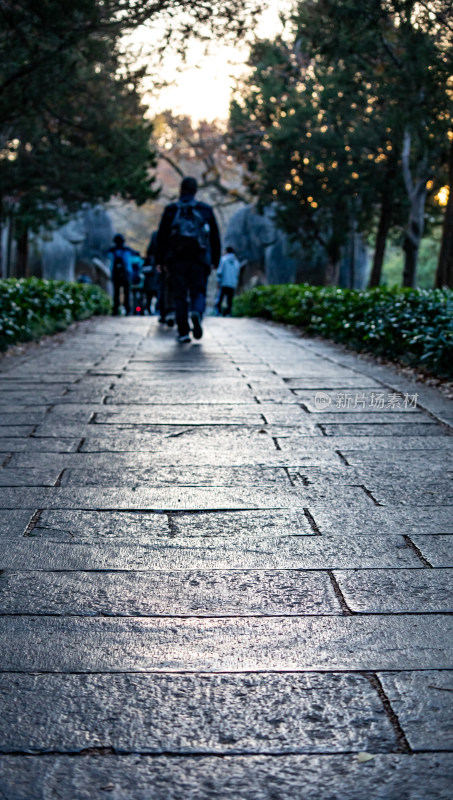 游客参观南京明孝陵石象路神道石像古迹场景