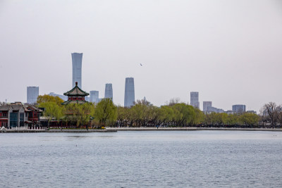 北京什刹海后海公园景点景观