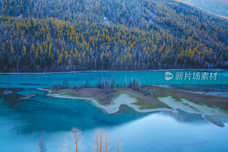 新疆北疆阿勒泰喀纳斯风景区卧龙湾